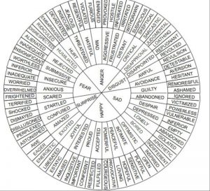 emotional vocabulary wheel